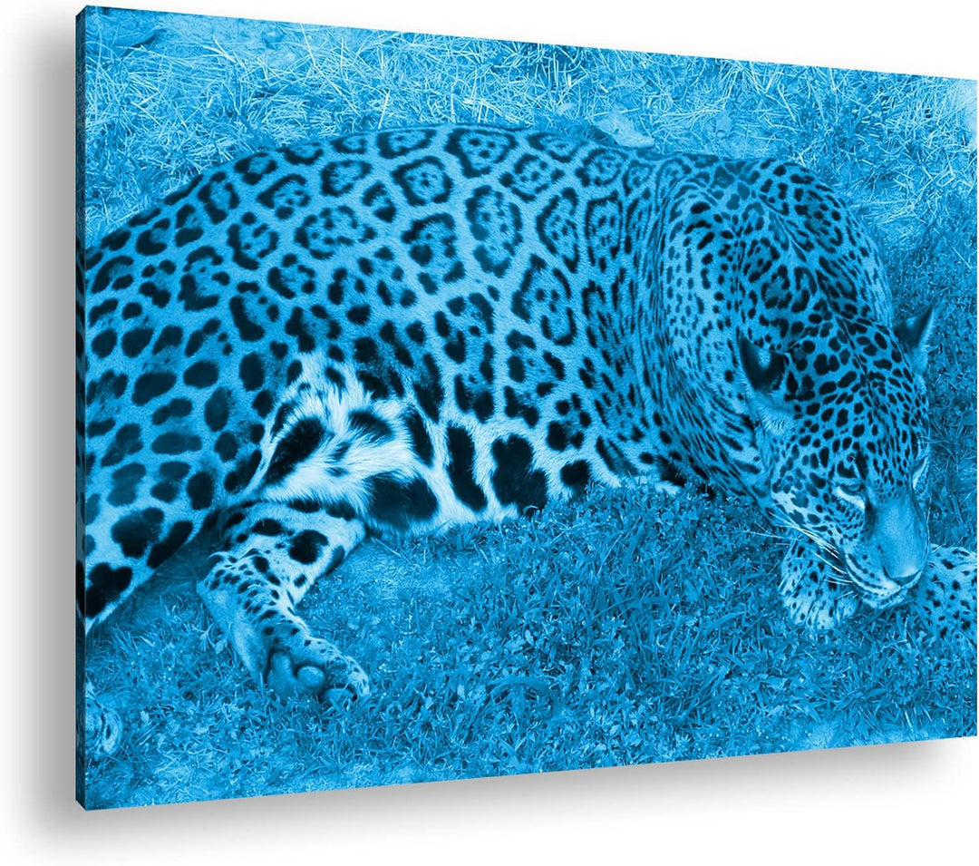 deyoli ruhig liegender Leopard Format: 80x60 Effekt: Monocrome Blau als Leinwand, Motiv fertig gerah