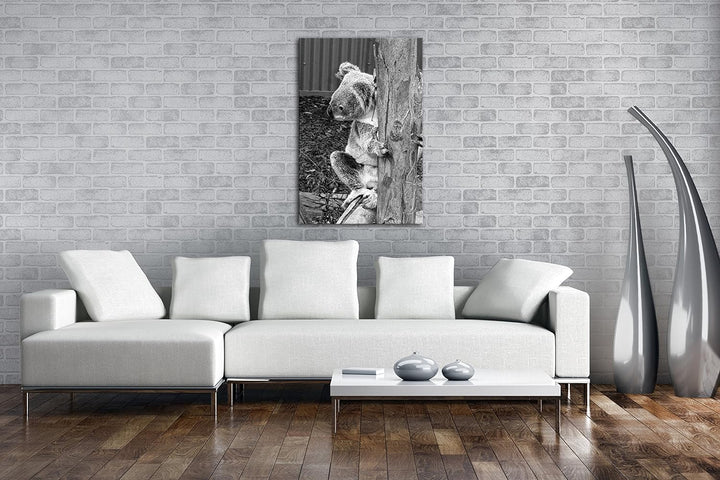 deyoli niedlicher Koala in Australien Effekt: Schwarz/Weiss Format: 60x40 als Leinwandbild, Motiv fe