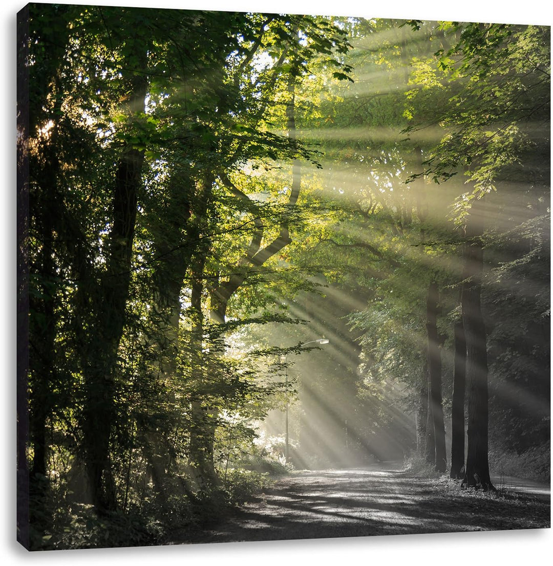 Pixxprint Waldweg im Frühling als Leinwandbild/Grösse: 70x70 cm/Wandbild/Kunstdruck/fertig bespannt,