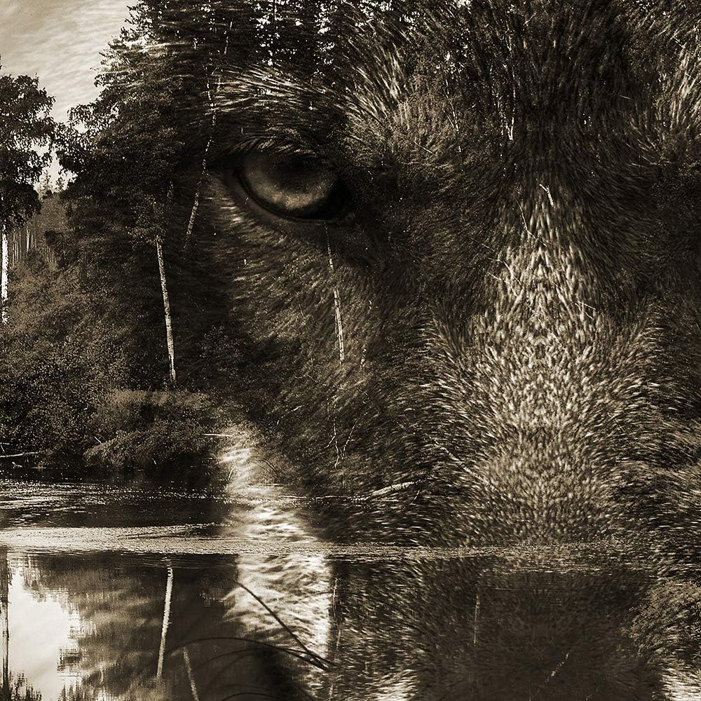 Feeby Leinwand Bilder - Fensterblick Natur- 120x80 cm- Deko Wohnzimmer - Wandbilder Schlafzimmer - D