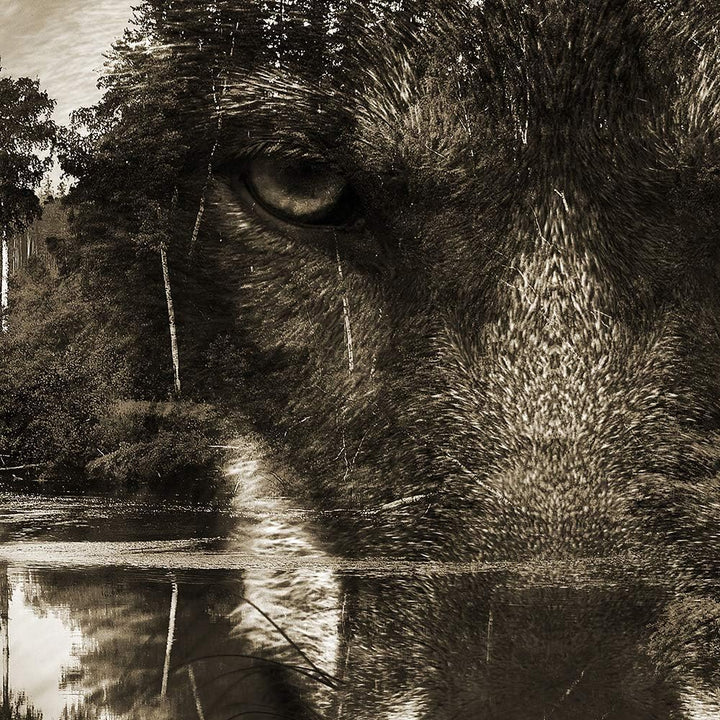 Feeby Leinwand Bilder - Fensterblick Natur- 120x80 cm- Deko Wohnzimmer - Wandbilder Schlafzimmer - D