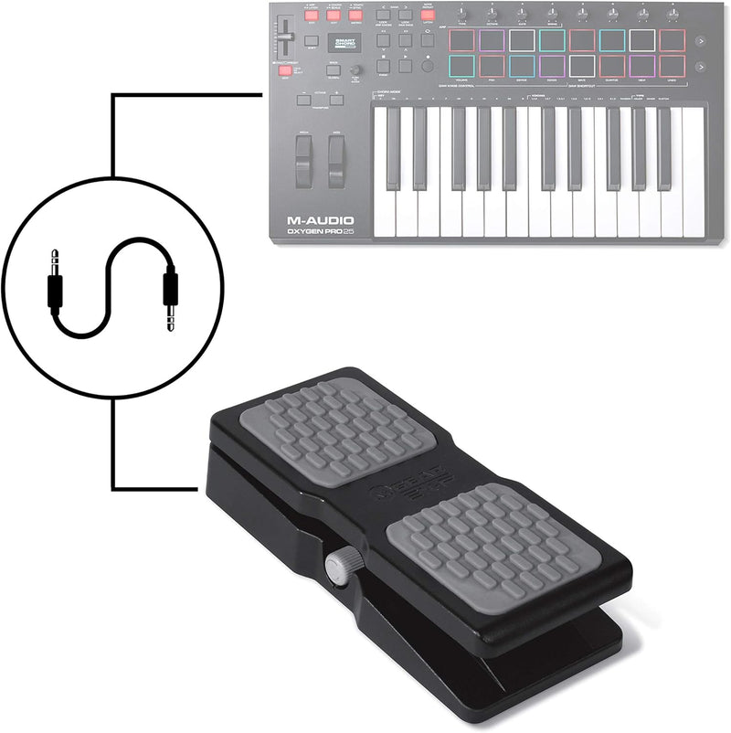 M-Audio EX-P - Expression-Fusspedal - schwarz & M-Audio SP-2 - Universal Sustain Pedal mit Piano Sty
