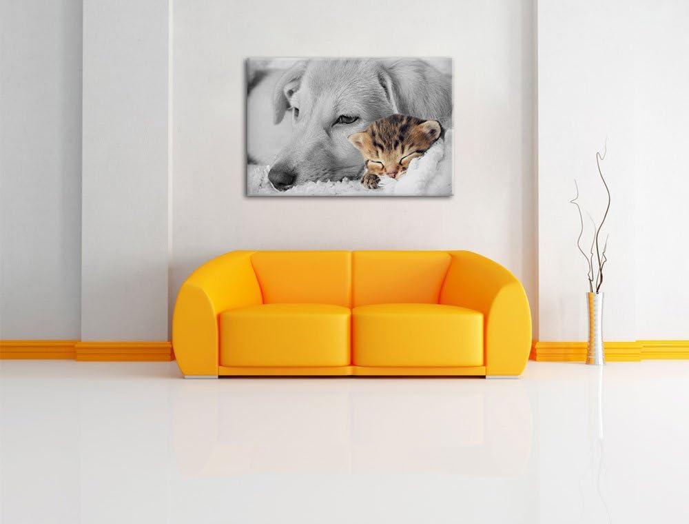Pixxprint Träumendes Kätzchen neben Hund als Leinwandbild/Grösse: 100x70 cm/Wandbild/Kunstdruck/fert