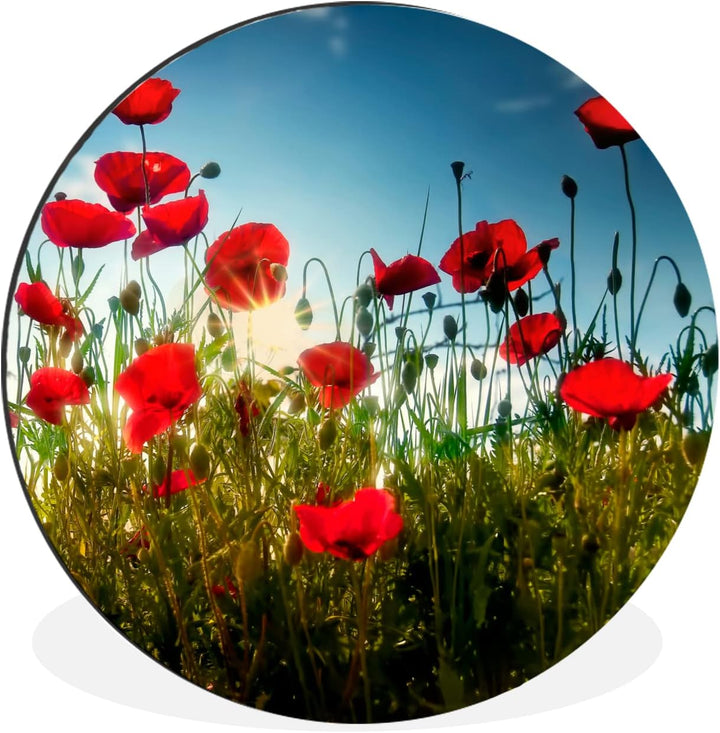 MuchoWow Wandbild Rund Wanddeko Deko Wohnzimmer Bilder 30x30 cm Mohnblumen - Toskana - Sonne - Rot -