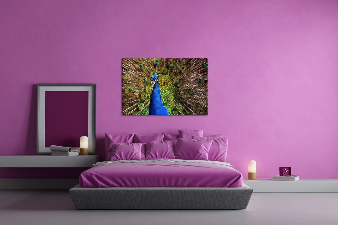 deyoli himmlisches Pfau Gefieder Format: 80x60 cm als Leinwandbild, Motiv fertig gerahmt auf Echthol