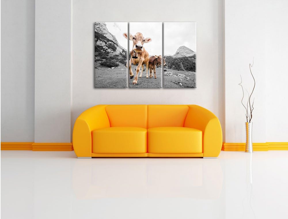 Pixxprint Almkuh auf der Weide als Leinwandbild 3 teilig/Grösse: 3 Teilig (120x80) / Wandbild/Kunstd