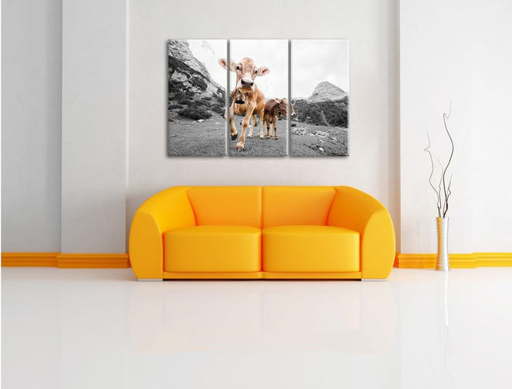 Pixxprint Almkuh auf der Weide als Leinwandbild 3 teilig/Grösse: 3 Teilig (120x80) / Wandbild/Kunstd