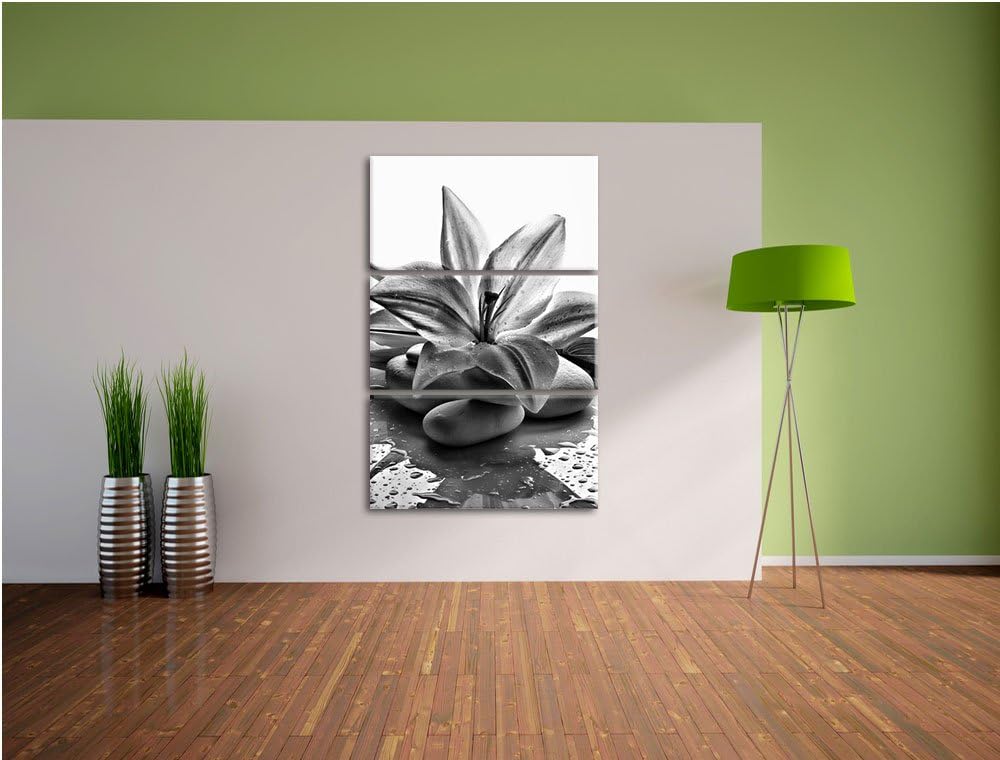 Pixxprint Blaue Lilie und Tulpe als Leinwandbild/Grösse: 3 Teilig (120x80) cm/Wandbild/Kunstdruck/fe