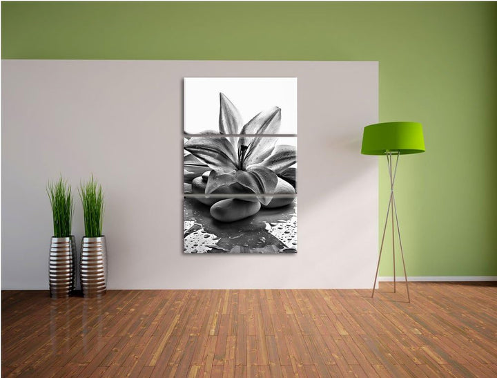 Pixxprint Blaue Lilie und Tulpe als Leinwandbild/Grösse: 3 Teilig (120x80) cm/Wandbild/Kunstdruck/fe