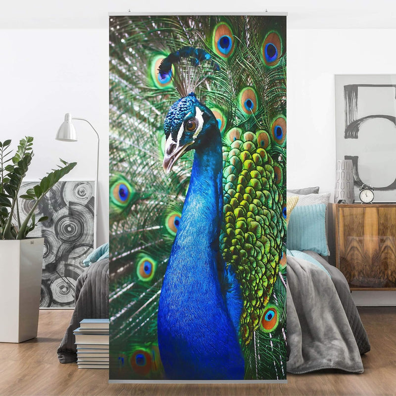 Bilderwelten Raumteiler Edler Pfau 250x120cm inkl. transparenter Halterung, inkl. transparenter Halt