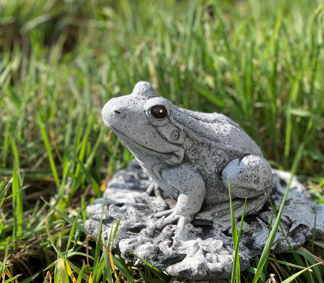 Stone and Style Steinfigur Frosch Frösche frostfest wetterfest Gartenfigur