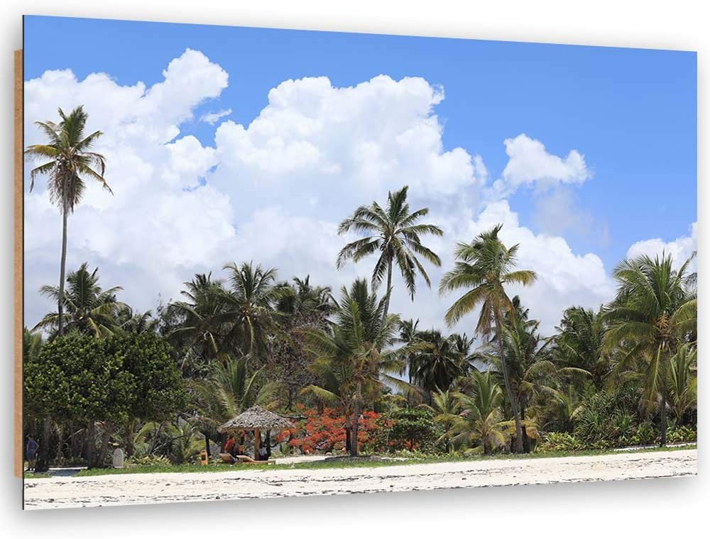 Feeby Deco Panel tropische Landschaft Bild Kunstdruck modern mehrfarbig 90x60 cm Deko paneel 90x60 c