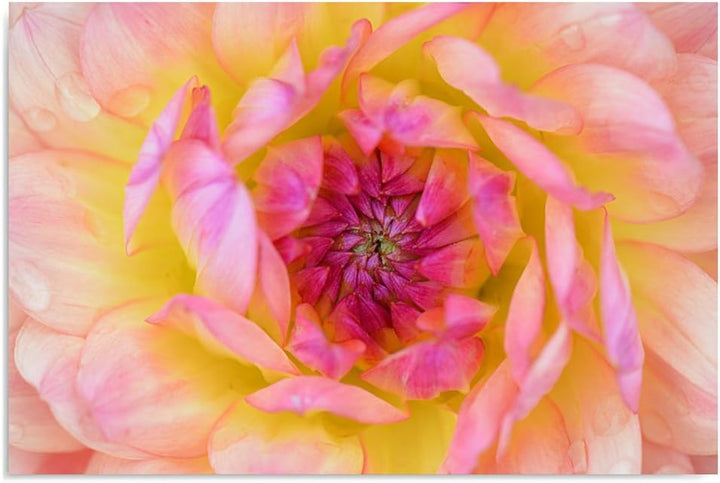 Feeby. Wandbild - 1 Teilig - 60x80 cm, Leinwand Bild Leinwandbilder Bilder Wandbilder Kunstdruck, DA