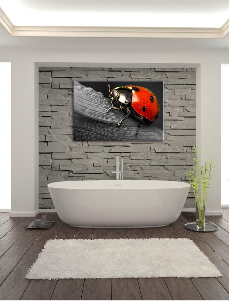 Pixxprint Marienkäfer in Detailaufnahme als Leinwandbild/Grösse: 100x70 / Wandbild/Kunstdruck/fertig