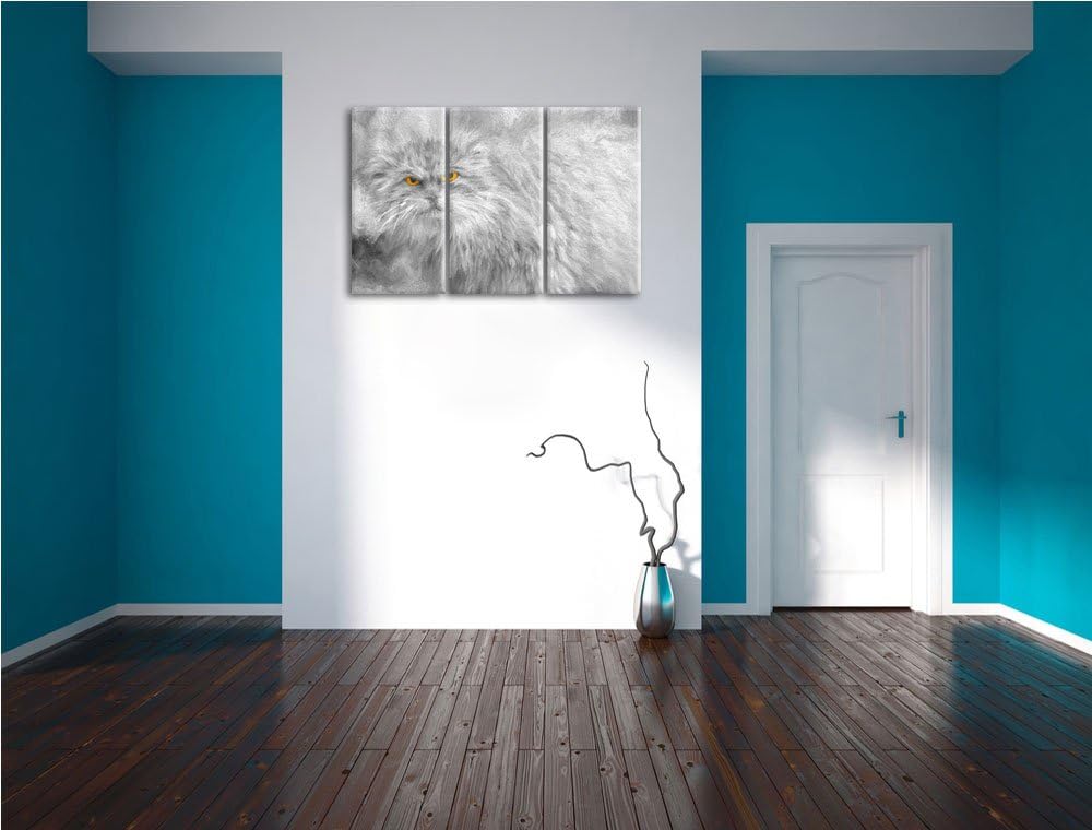 wütende kleine Manul schwarz/weiss Deluxe 3-Teiler Leinwandbild 120x80 Bild auf Leinwand, XXL riesig