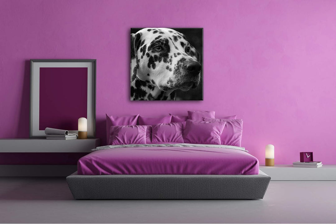deyoli Dalmatien Hund mit blauen Augen im Format: 60x60 Effekt: Schwarz&Weiss als Leinwandbild, Moti