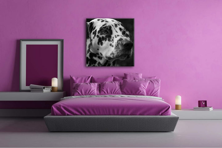 deyoli Dalmatien Hund mit blauen Augen im Format: 60x60 Effekt: Schwarz&Weiss als Leinwandbild, Moti