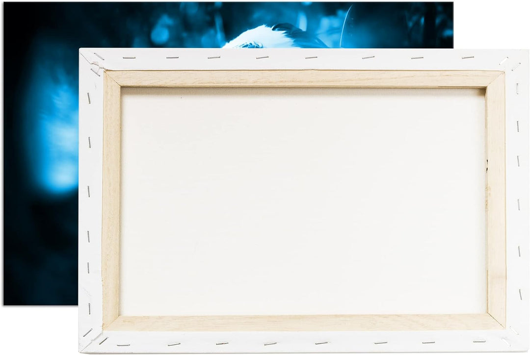 deyoli stolze Indianerin Format: 80x60 Effekt: Monocrome Blau als Leinwand, Motiv fertig gerahmt auf