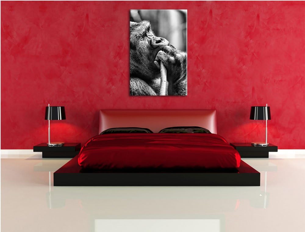 Monocrome, Gorilla isst, Format: 100x70 auf Leinwand, XXL riesige Bilder fertig gerahmt mit Keilrahm