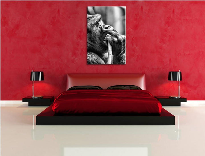 Monocrome, Gorilla isst, Format: 100x70 auf Leinwand, XXL riesige Bilder fertig gerahmt mit Keilrahm
