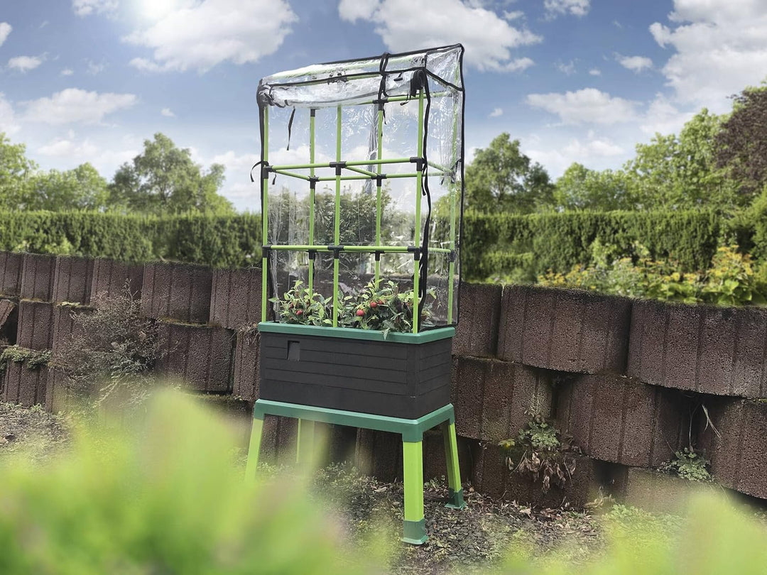 Bio Green JGL-T, City Jungle, Der kleine Garten für Balkon und Terrasse & City Jungle Haube