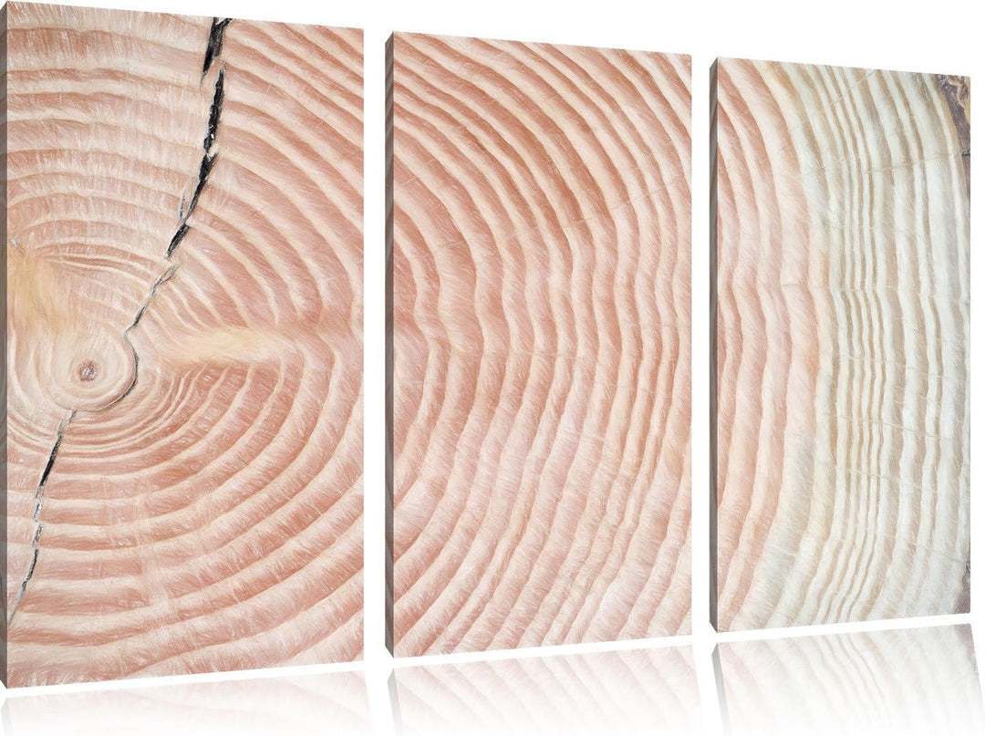 Pixxprint Baumstamm Jahresringe als Leinwandbild/Grösse: 3 Teilig (120x80 cm) cm/Wandbild/Kunstdruck