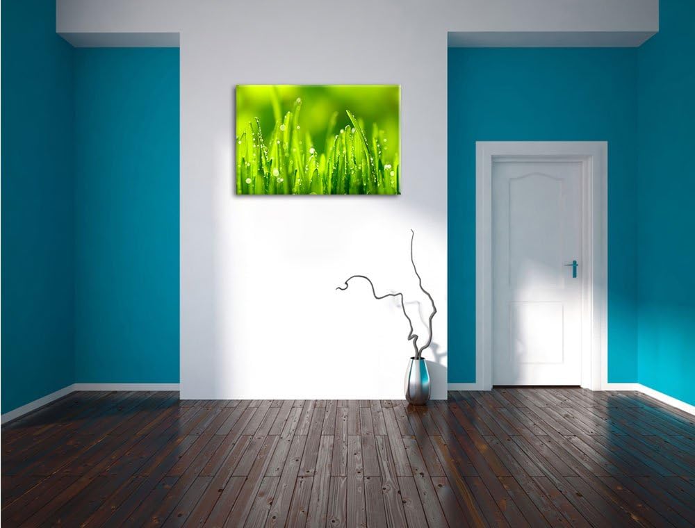Grashalme mit Tauwasser, Format: 100x70 auf Leinwand, XXL riesige Bilder fertig gerahmt mit Keilrahm