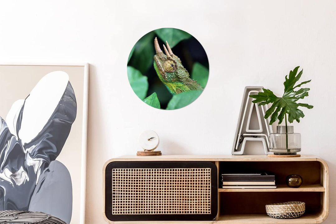 MuchoWow Wandbild Rund Wanddeko Deko Wohnzimmer Bilder 30x30 cm Verstecktes Chamäleon zwischen den B