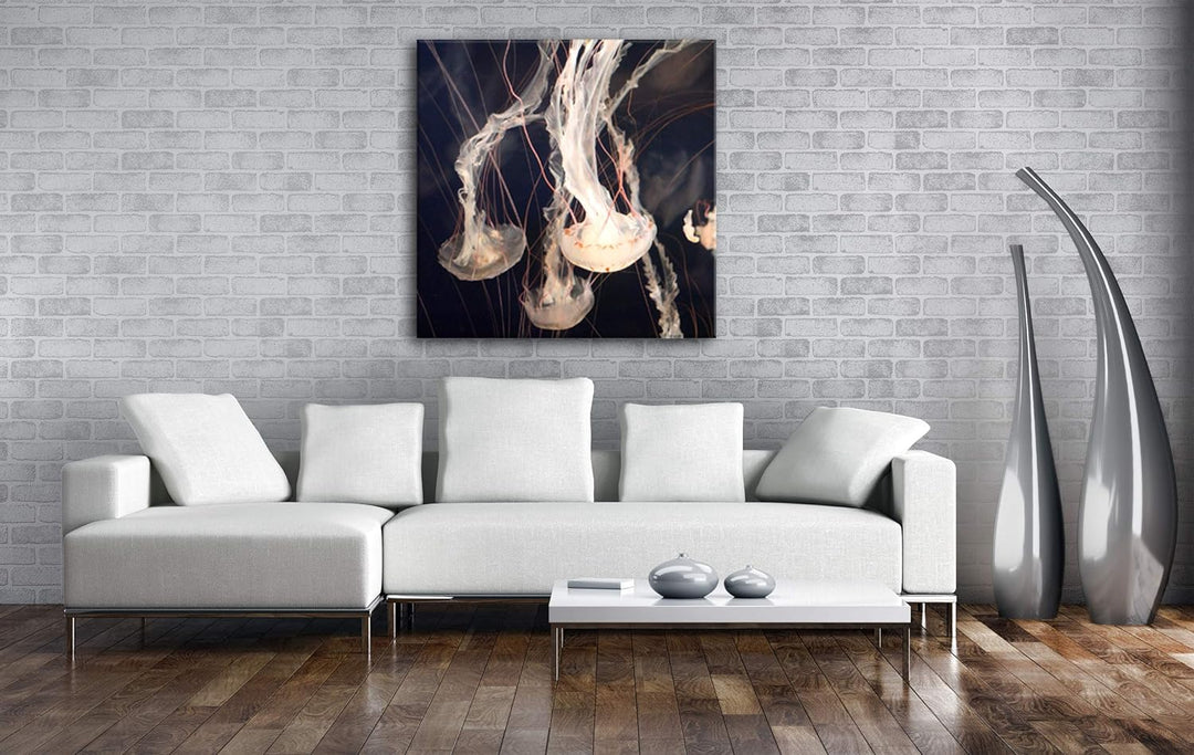 deyoli elegant-schwimmende Quallen Format: 70x70 als Leinwand, Motiv fertig gerahmt auf Echtholzrahm