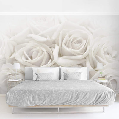 Vliestapete Weisse Rosen Premium, Grösse: 225cm x 336cm, 225cm x 336cm