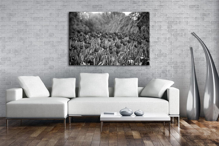 deyoli bezaubernde Rote Tulpen Effekt: Schwarz/Weiss Format: 100x70 als Leinwandbild, Motiv fertig g