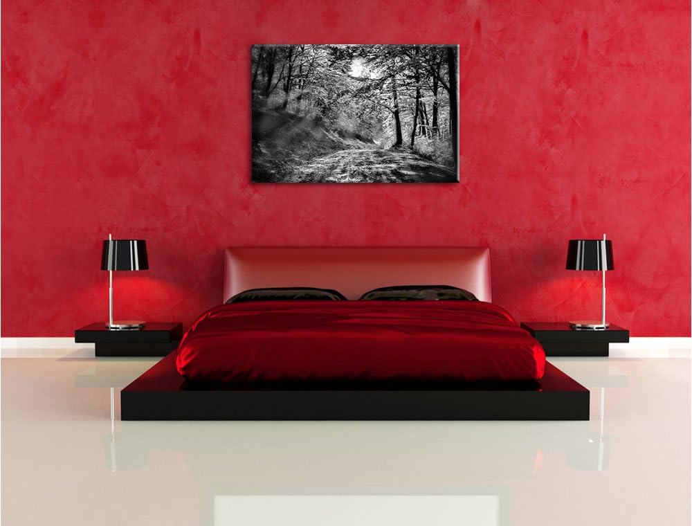 Monocrome, Wald, Format: 100x70 auf Leinwand, XXL riesige Bilder fertig gerahmt mit Keilrahmen, Kuns