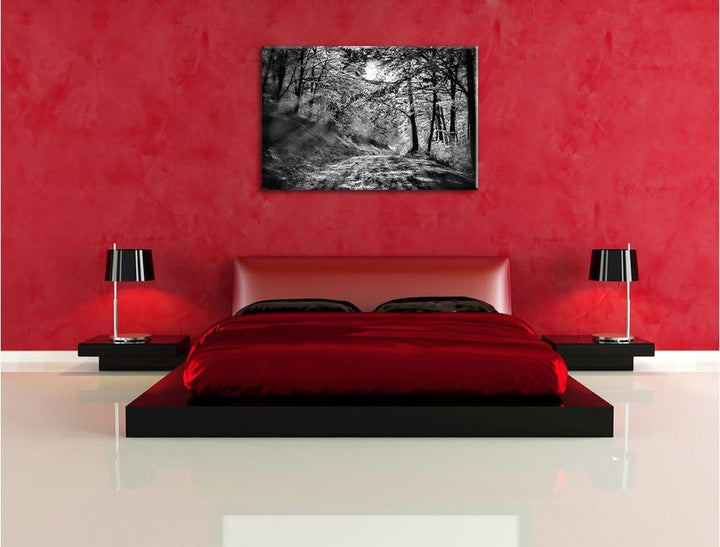 Monocrome, Wald, Format: 100x70 auf Leinwand, XXL riesige Bilder fertig gerahmt mit Keilrahmen, Kuns