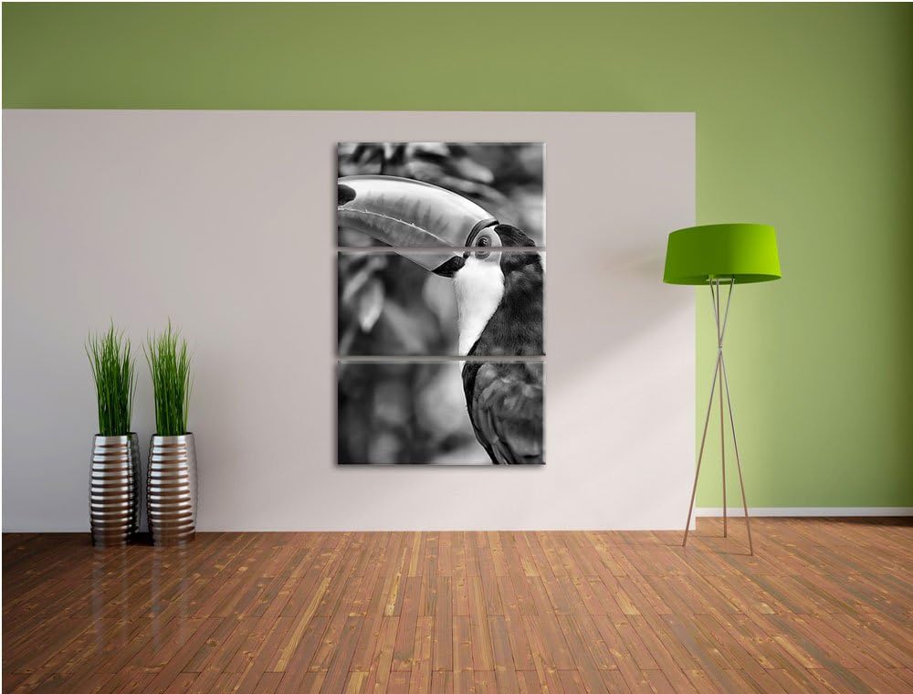 Pixxprint Bunter Tukan als Leinwandbild/Grösse: 3 Teilig (120x80) cm/Wandbild/Kunstdruck/fertig besp