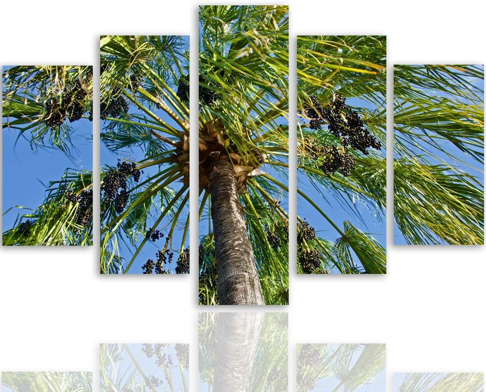 Feeby Leinwandbild 5 Teilig Palme Bild Wanddeko Natur Exotik Himmel blau grün 200x100 cm Leinwandbil