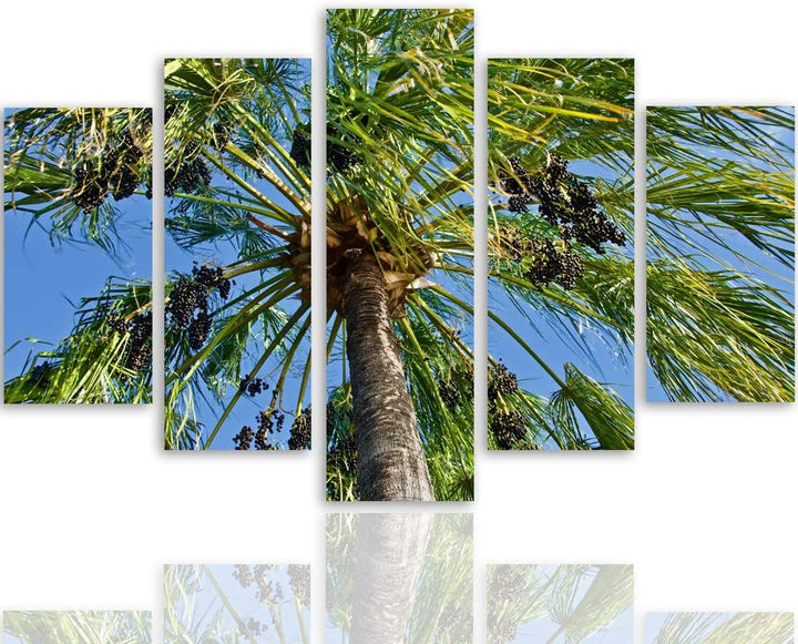 Feeby Leinwandbild 5 Teilig Palme Bild Wanddeko Natur Exotik Himmel blau grün 200x100 cm Leinwandbil