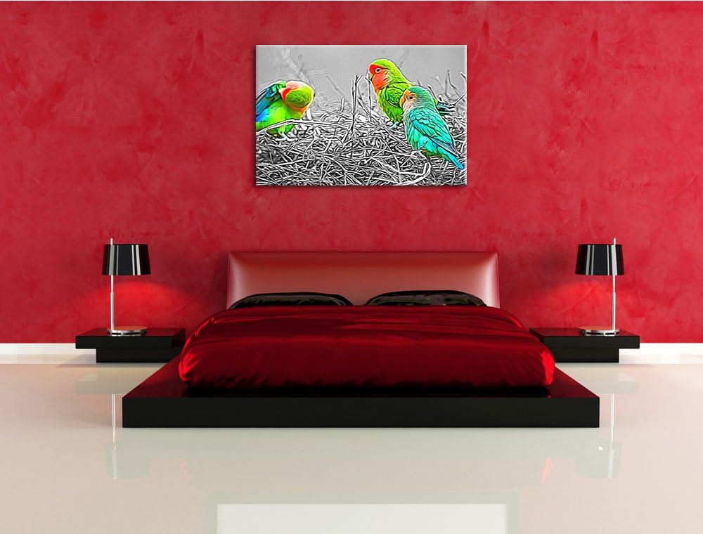 kleine süsse Papageien im Nest schwarz/weiss Deluxe Format: 100x70 cm auf Leinwand, XXL riesige Bild