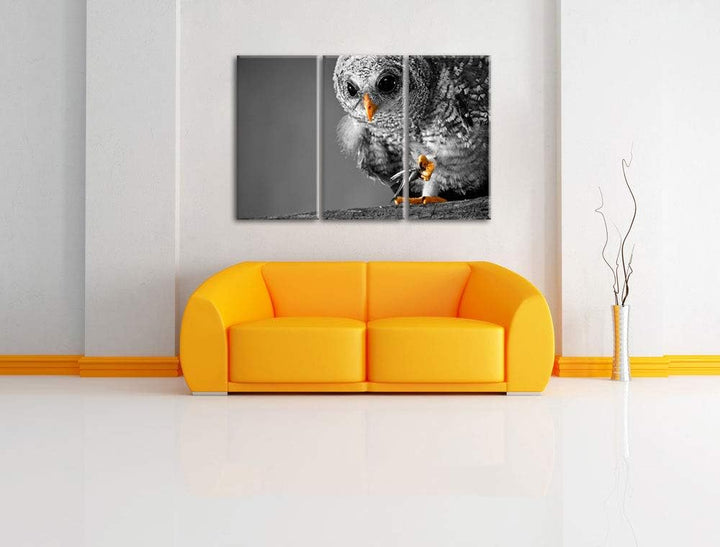 Eule mit Grille in ihren Krallen schwarz/weiss 3-Teiler Leinwandbild 120x80 Bild auf Leinwand, XXL r