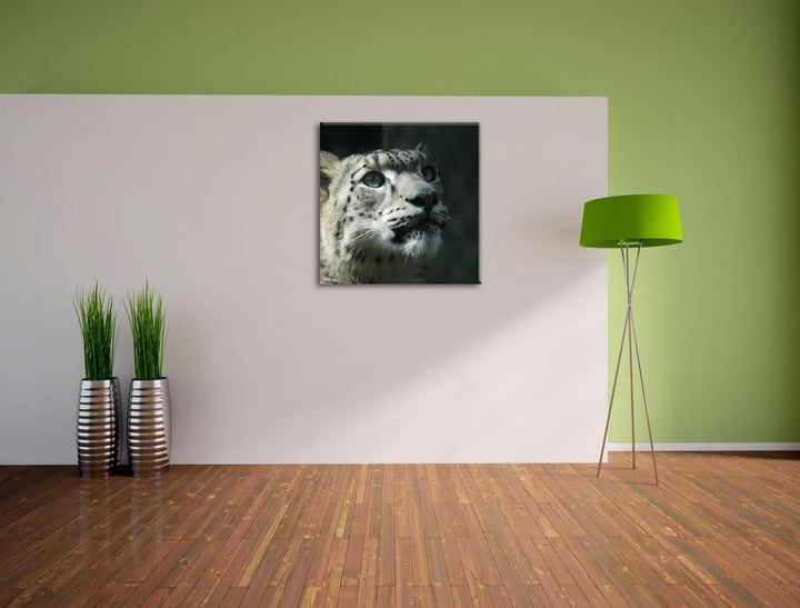 Pixxprint Leopard, Format: 70x70 auf Leinwand, XXL riesige Bilder fertig gerahmt mit Keilrahmen, Kun