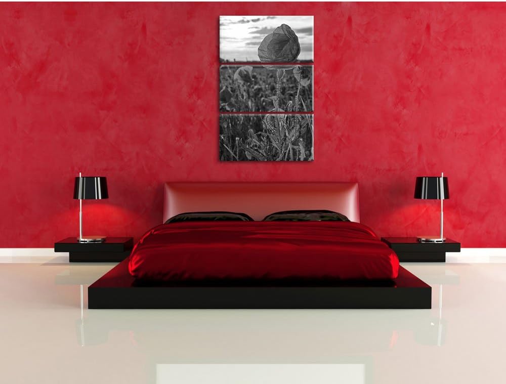 Pixxprint Mohnfeld Kunst B&W als Leinwandbild/Grösse: 3 Teilig (120x80) cm/Wandbild/Kunstdruck/ferti