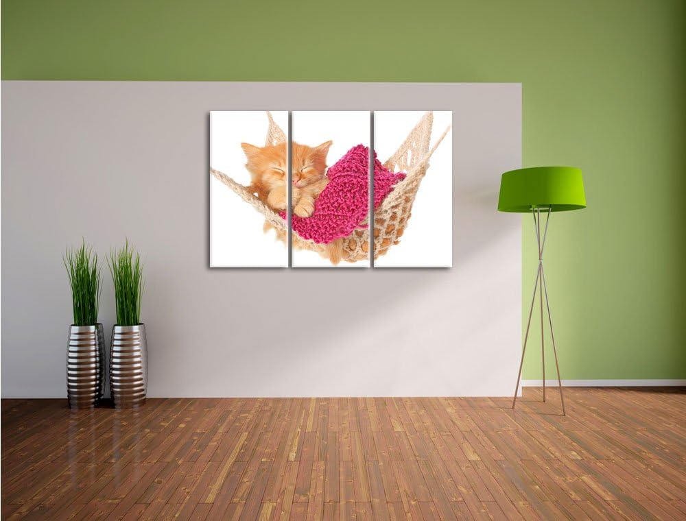 Pixxprint Schlafendes Katzenbaby in Hängematte 3-Teiler Leinwandbild 120x80 Bild auf Leinwand