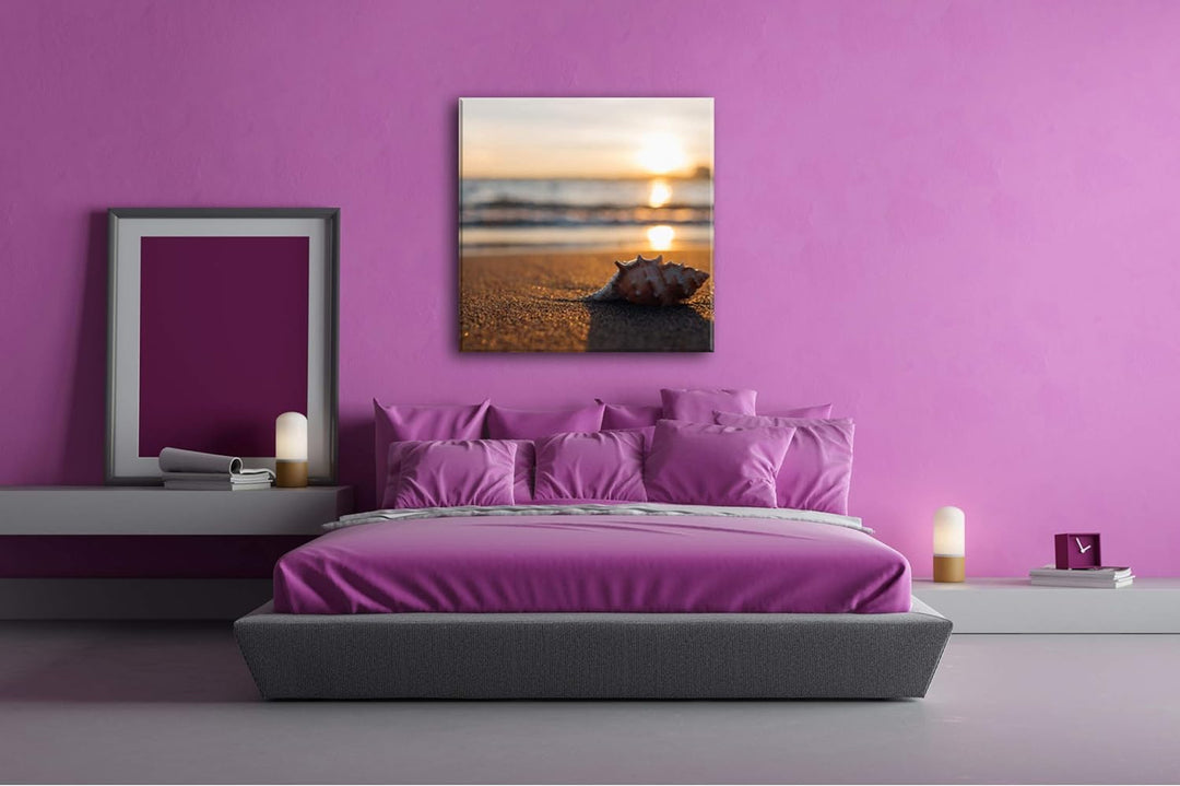 deyoli einzelne Muschel am Strand Format: 60x60 als Leinwand, Motiv fertig gerahmt auf Echtholzrahme