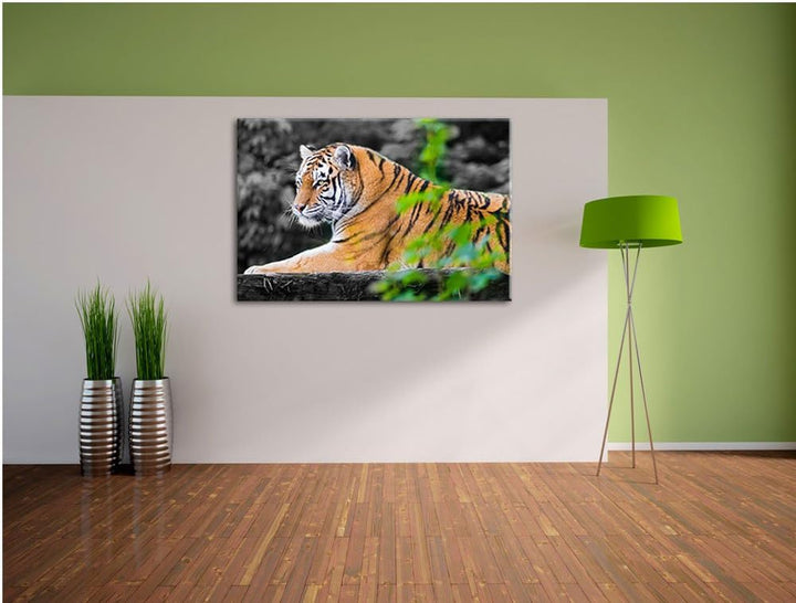 anmutiger Tiger auf Baumstamm schwarz/weiss auf Leinwand, XXL riesige Bilder fertig gerahmt mit Keil