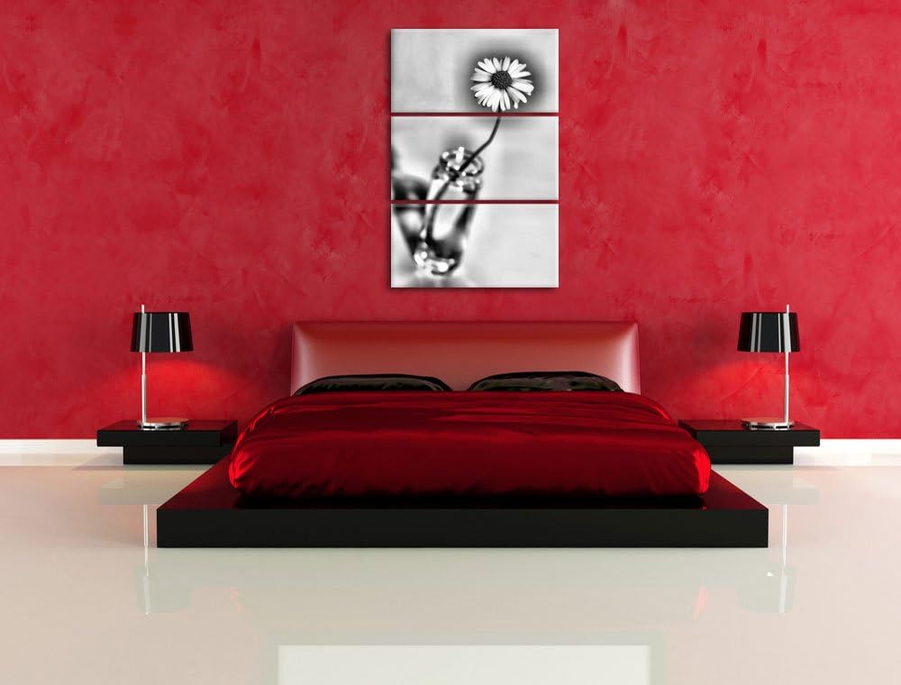 Pixxprint kleines Gänseblümchen im Glas als Leinwandbild/Grösse: 3 Teilig (120x80) cm/Wandbild/Kunst