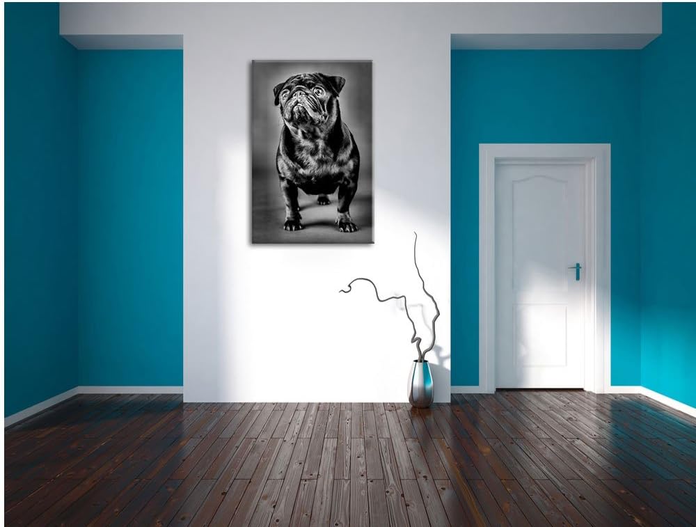Pixxprint Süsser schwarzer Mops als Leinwandbild/Grösse: 100x70 cm/Wandbild/Kunstdruck/fertig bespan