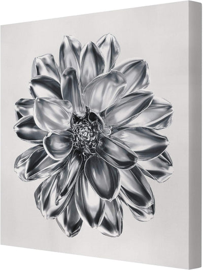 Leinwandbild - Dahlie Blume Silber Metallic 30 x 30cm - Canvas 30cm x 30cm - Canvas, 30cm x 30cm - C