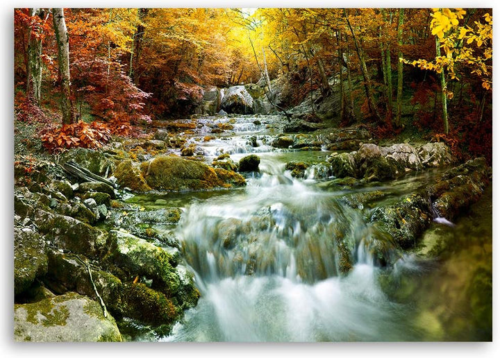 Feeby Leinwandbild Bach Bild Kunstdruck Wald Gelb 70x50 cm