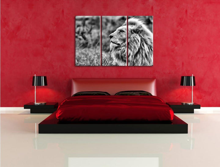 Pixxprint Monocrome, Weisser Löwe im Gebirge 3-Teiler Leinwandbild 120x80 Bild auf Leinwand