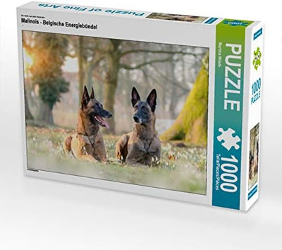 CALVENDO Puzzle Malinois - Belgische Energiebündel 1000 Teile Lege-Grösse 64 x 48 cm Foto-Puzzle Bil