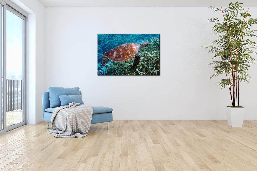 deyoli exotische Schildkröte im Ozean im Format: 80x60 als Leinwandbild, Motiv fertig gerahmt auf Ec